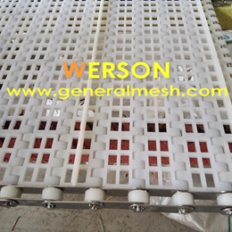 Plastic Modular Belts